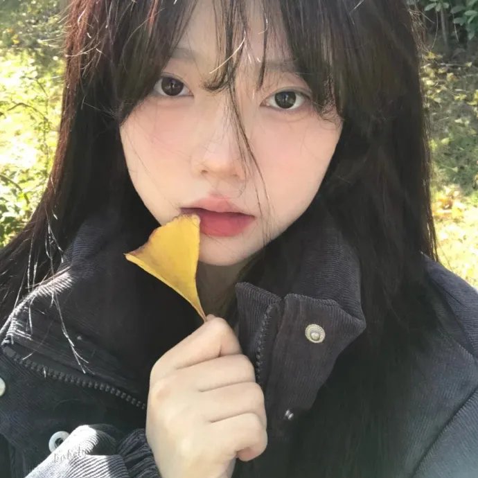 檀岛玉女